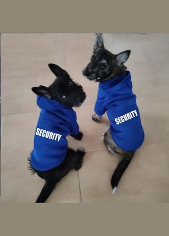 Худи для котов и кошек Pet Style "Security" Синяя M No Brand - (323236691)