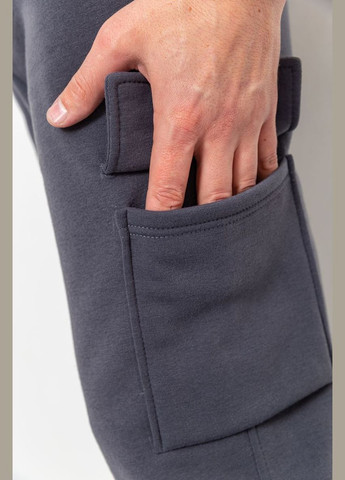 Темно-серые спортивные демисезонные брюки Ager