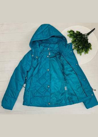 Голубая демисезонная куртка девственниц. голубой м123 Moon-Box