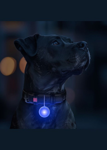 Ліхтарик для собак і котів LED, у силіконовому чохлі, що світиться, USB, Д 37 мм WAUDOG (342414182)