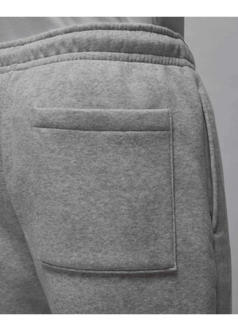 Штани чоловічі Brooklyn Fleece FV7277-050 сірі Jordan (361246624)