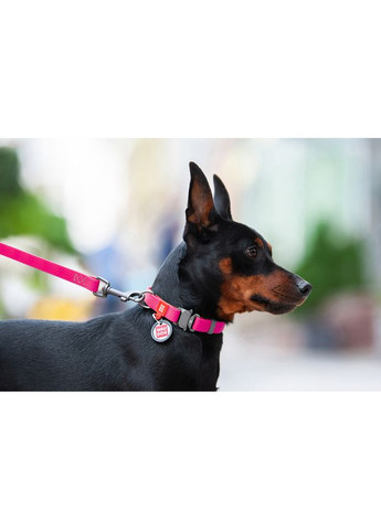 Ошейник для собак водостойкий Waterproof c QR паспортом, металлическая пряжка-фастекс, Ш 25 мм, Длин 34-49 см, розовый WAUDOG (322001934)