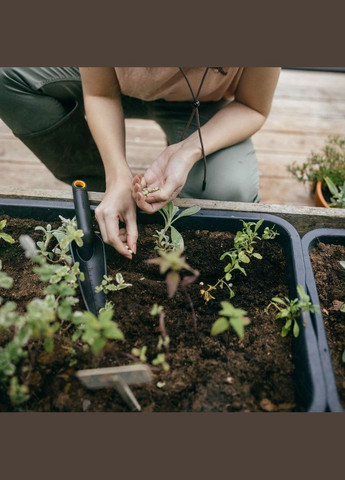 Лопата для розсади Solid 1072101 Fiskars (317305887)