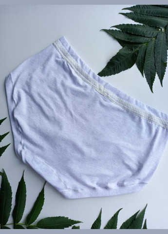 Женские хлопковые трусики голубые размер ХЛ ДС 25171 DC (368787876)