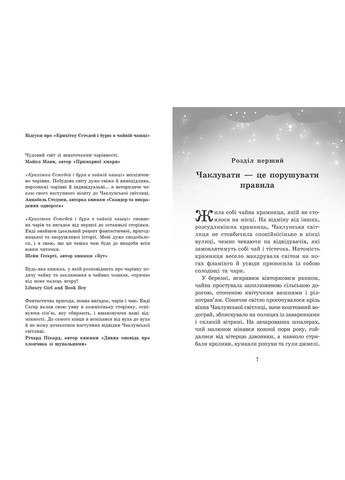 Крошка Эстедей и чайник хаоса. Книга 2 No Brand (368829099)