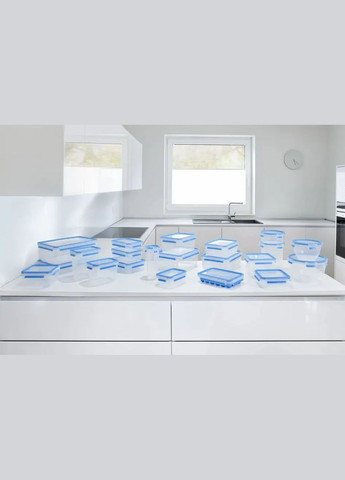 Набор контейнеров Master Seal, 5шт, пластик, прозрачный, синий Tefal (330030709)