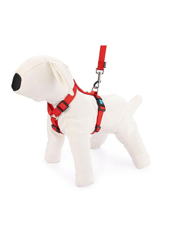 Шлея-нагрудник для собак, нейлон, A-32-50см, B-50-70см, С-15-19 см, ширина ремінця: 2 см, M, Червоний Happet (353303392)