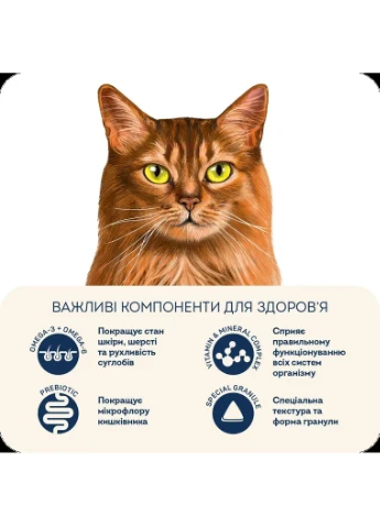 Сухий корм здорова шкіра та блиск шерсті для дорослих котів Індичка та лосось 400 г Home Food (355796077)