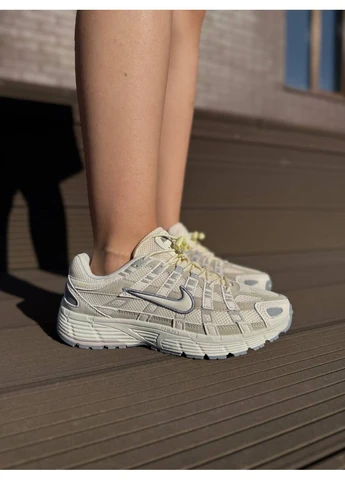 Серые демисезонные кроссовки мужские nike p-6000 beige grey найк п-6000 No Brand