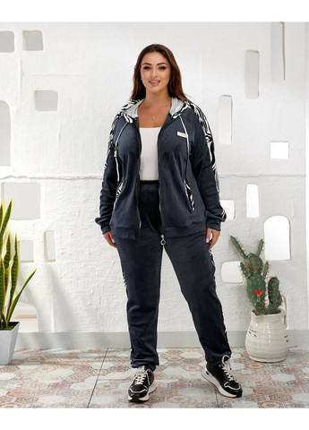 Женский спортивный велюровый костюм FINO Mode (361444955)