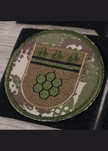 Шеврон Національна Гвардія України Нетішин ВЧ 3043 (хижак) No Brand (336381962)