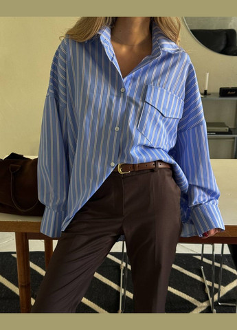 Голубой повседневный рубашка в полоску Україна с длинным рукавом