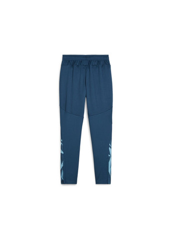 Синие спортивные демисезонные брюки Puma