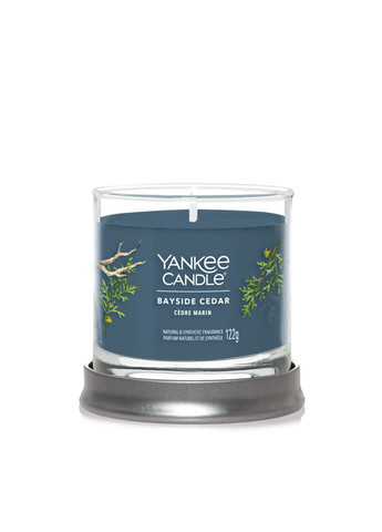 Ароматична свічка Bayside Cedar Small Yankee Candle (280916886)