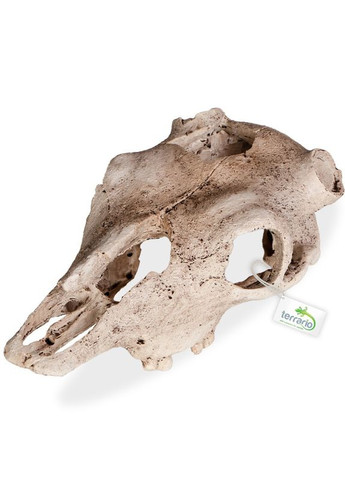 Декорация черепа буйвола Buffalo Skull 21x12x8см Terrario (363453030)