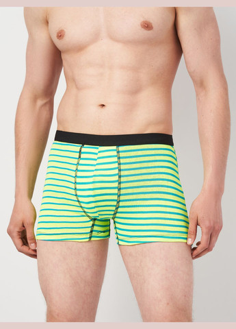 Труси (3шт) Basic Collection (295079676)