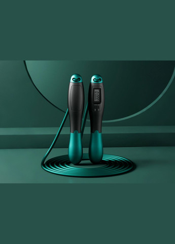 Швидкісна скакалка з лічильником чорний-зелений EasyFit (345710506)