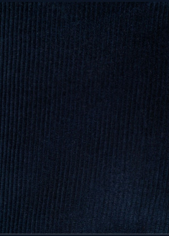 Штани NAVI (300323560)