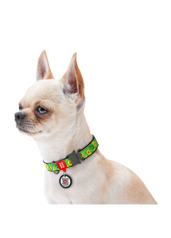 Нашийник для собак нейлоновий Nylon з QR паспортом, Ш 25 мм, Дов 33-49 см WAUDOG (322642275)