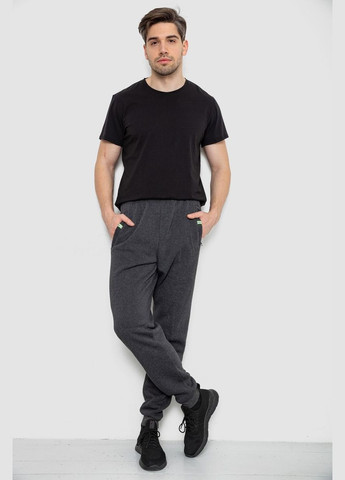 Спортивні штани чоловічі на флісі,, Ager (317426950)