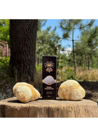 Жидкий экстракт Ежовика гребенчатого 30 мл Лесовик Лісовик (364210571)