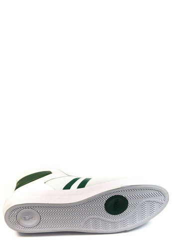 Білі чоловічі кеди gervin mid Polo Ralph Lauren