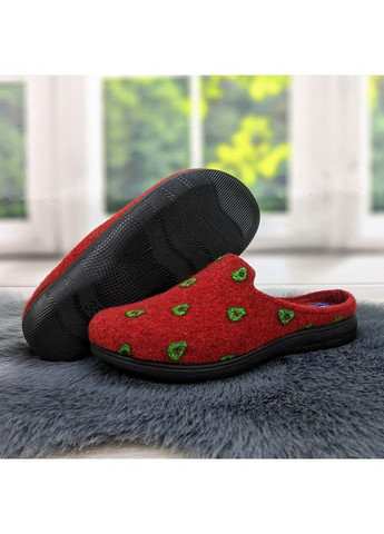 Тапочки домашні жіночі фетрові Inblu (303547032)