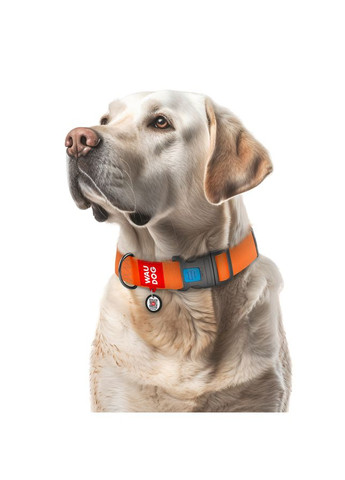 Ошейник для собак водостойкий Waterproof c QR паспортом, пластиковый фастекс, XXL, Ш 40 мм, Дл 46-70 см, оранжевый WAUDOG (322328841)