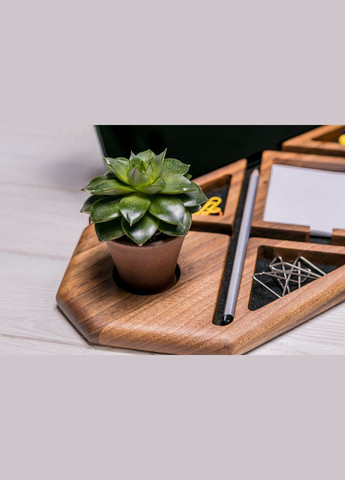 Аксесуар «Сукулент» Стильний подарунок дівчині на День народження EcoWalnut (293510808)