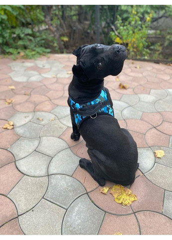 Шлей для собак с ручкой Комфорт и безопасность на прогулке No Brand (362571906)