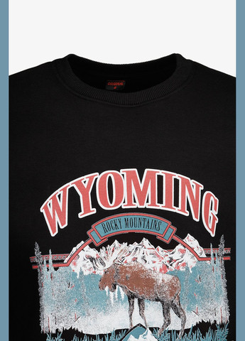 Черный свитшот с принтом мужской 1909 черный shop (2000990779359) (362703858)