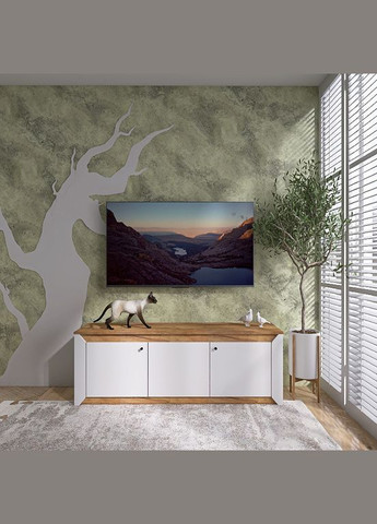 Тумба під телевізор Нордік ТВ1500 Білий + Дуб крафт золотий (DTM-5541) Еверест (315496308)