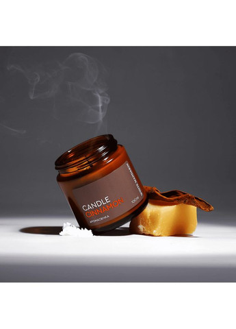 Ароматическая свеча с натуральным ароматом корицы CANDLE CINNAMON Чойс CHOICE (338800326)