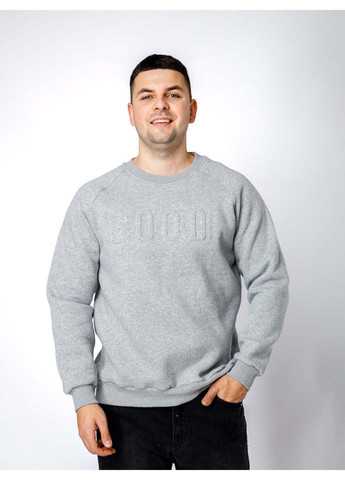 Сірий світшот LAGODOMEE (300800905)