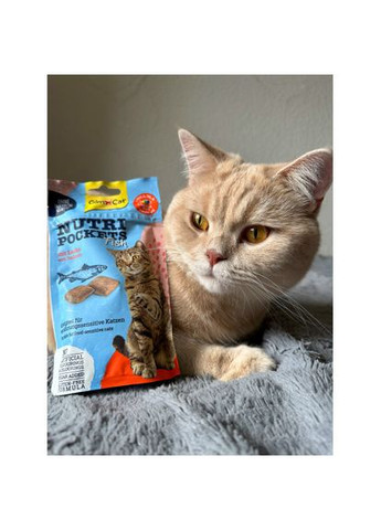 Ласощі для котів Nutri Pockets Fish Лосось 60 г (*) GimCat (322589597)
