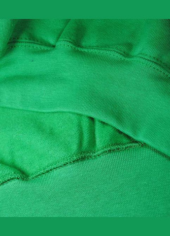 Худи мужской Classic hooded sweat Ярко-зеленый (062208047S) Fruit of the Loom (315938114)