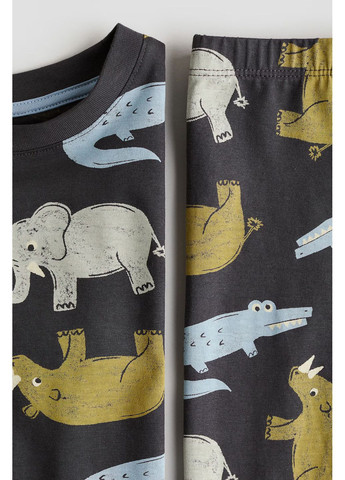 Комбинированная всесезон пижама из узорчатого джерси для мальчика комбинированная 98/104см(2-4р) реглан + брюки H&M