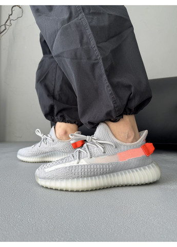 КРОСІВКИ ЖІНОЧІ ADIDAS YEEZY 350 TAIL LIGHT АДІДАС ІЗІ БУСТ No Brand комбіновані демісезони (367174190)