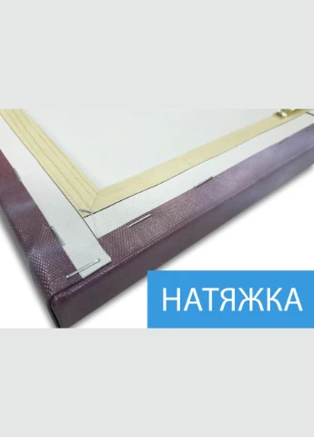 Модульна картина фотографії, на Полотні нат., 62x95 см, (mk17MN_hm10546) Декоинт (322419845)