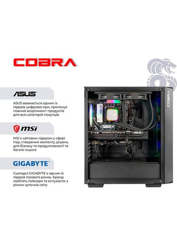 Компьютер Advanced (A79X.64.S20.56.26005) Cobra (391821025)