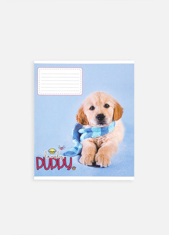 Зошит у лінійку 18 аркушів колір різнокольоровий ЦБ-00255157 Фабрика Поліграфіст (307363004)