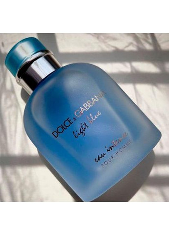 Чоловіча туалетна вода Dolce&Gabbana Light Blue pour homme Духи чоловічі 100мл No Brand (366734786)