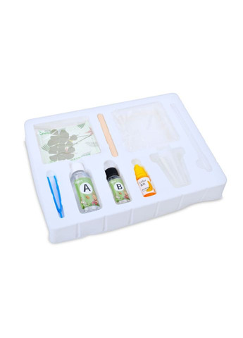 Детский набор для творчества "Сухоцвет" FG231102005M, пинцет, краска, застывающая жидкость Bambi (364195307)