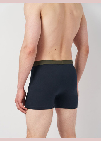 Труси (3шт) Basic Collection (295404430)