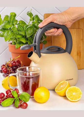 Чайник Silver 2.7л нержавіюча сталь, зі свистком, бежевий матовий Ofenbach (339779159)