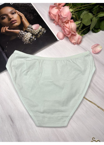 Трусики сліпи бавовняні Lavolle (349513354)