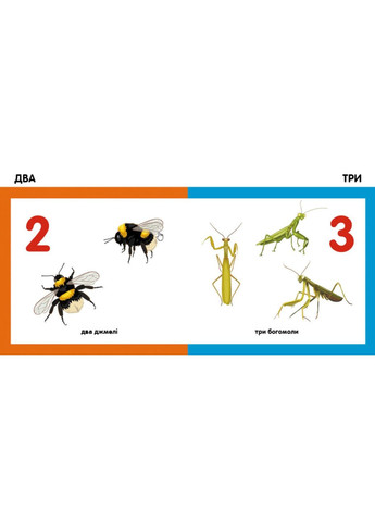 Смарткниги : Цифры РАНОК (316082613)