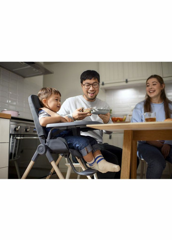 Стульчик для кормления Ava Eco Beyond Grey () Maxi-Cosi 2040052110 (336146170)