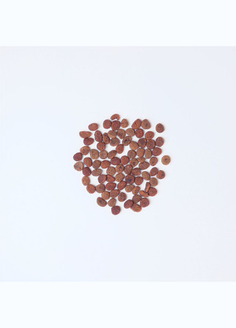 Сухой корм для взрослых кошек True Fresh Cat Chicken с курицей 4.8 кг (8595602561490) Carnilove (307981484)