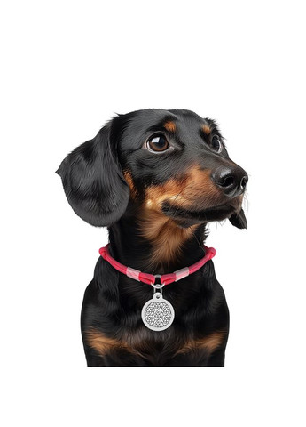 Шнурок для адресника из паракорда Smart ID, светоотражающий,, Д 4 мм, Дл 25-45 см WAUDOG (333799696)